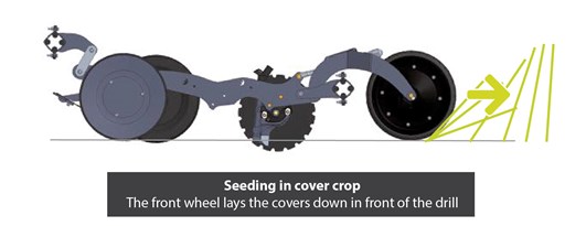 Seeding in cover crop